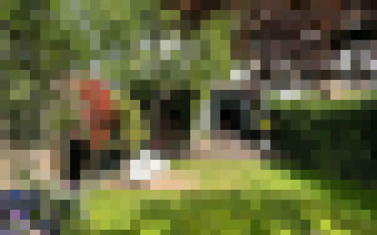 Baronielaan 90 Breda thumbnail 46