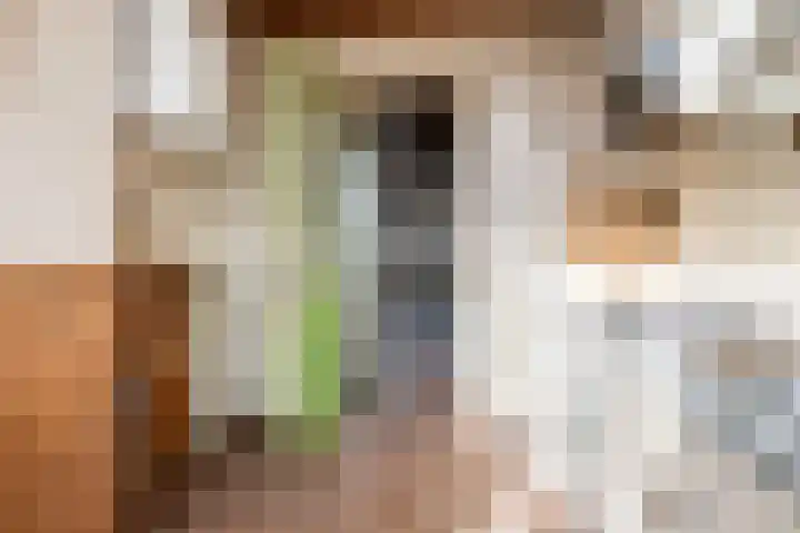 Baronielaan 93 Breda thumbnail 11