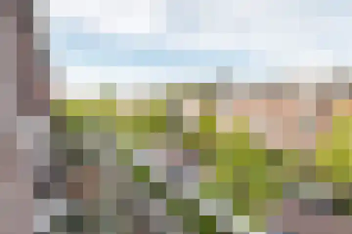 Baronielaan 93 Breda thumbnail 26