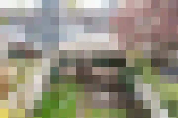 Baronielaan 93 Breda thumbnail 35
