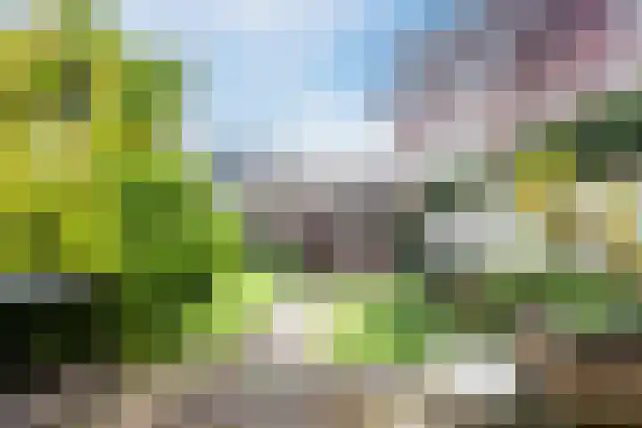 Baronielaan 93 Breda thumbnail 37