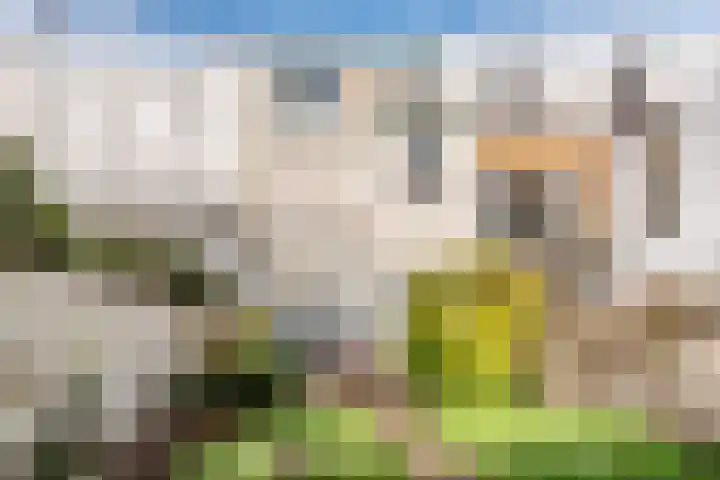 Baronielaan 93 Breda thumbnail 38