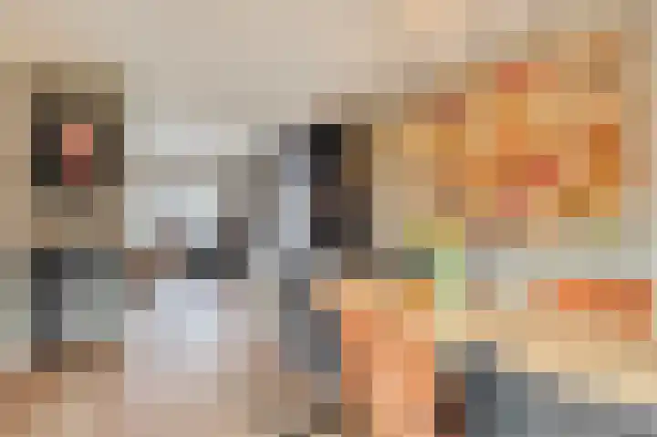 Baronielaan 95 Goirle thumbnail 10