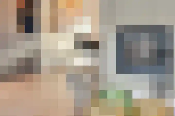 Baronielaan 95 Goirle thumbnail 15