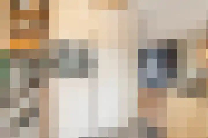 Baronielaan 95 Goirle thumbnail 19
