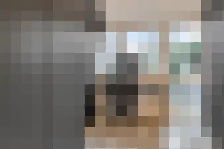 Baronielaan 95 Goirle thumbnail 23