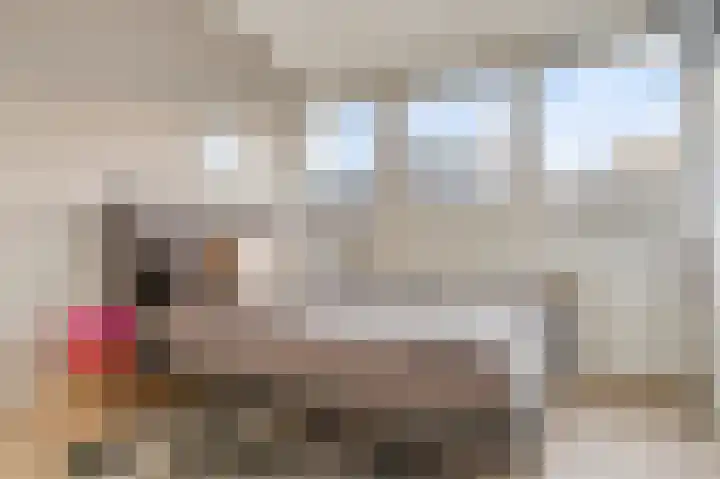 Baronielaan 95 Goirle thumbnail 25