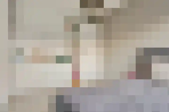 Baronielaan 95 Goirle thumbnail 26