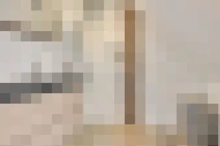 Baronielaan 95 Goirle thumbnail 27