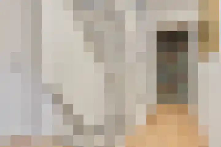 Baronielaan 95 Goirle thumbnail 34