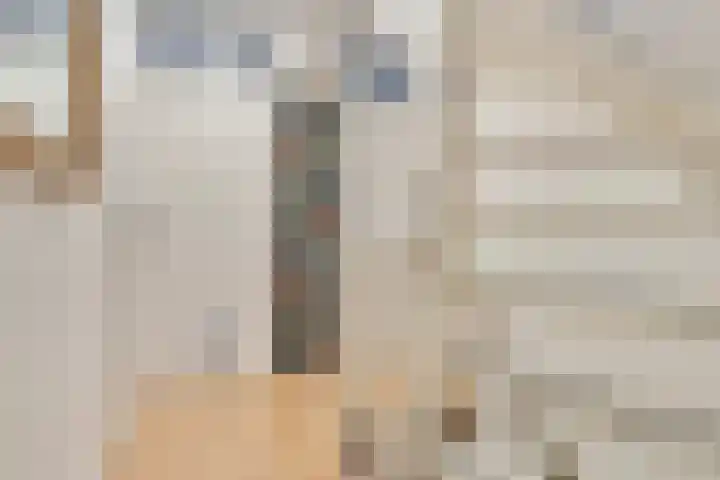 Baronielaan 95 Goirle thumbnail 39