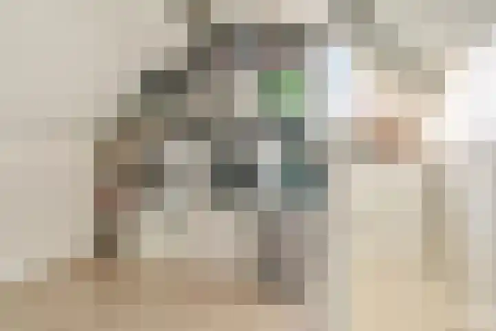Baronielaan 95 Goirle thumbnail 40