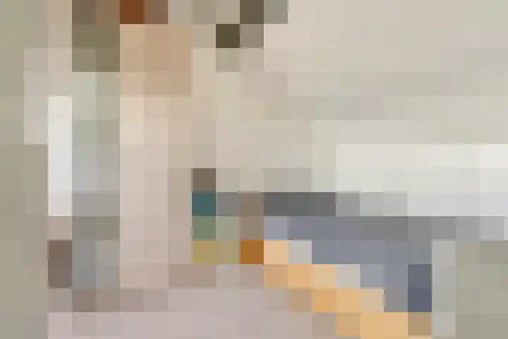 Baronielaan 95 Goirle thumbnail 41