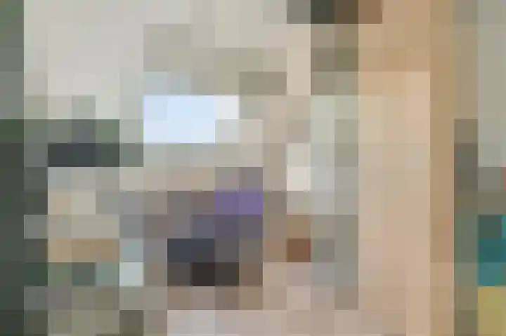Baronielaan 95 Goirle thumbnail 42