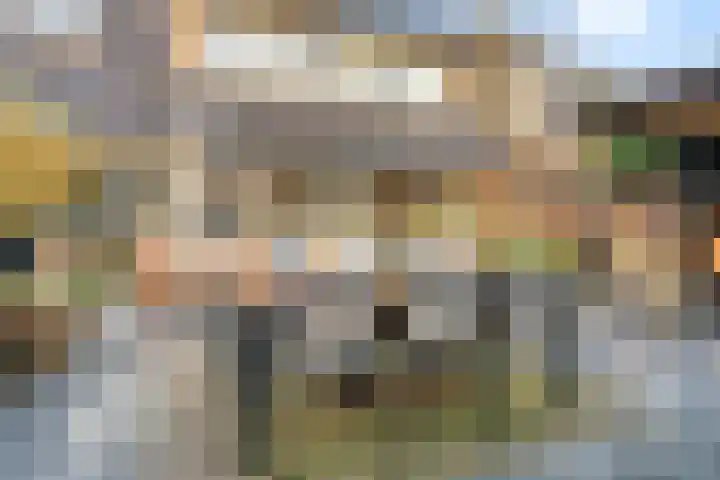 Baronielaan 95 Goirle thumbnail 43