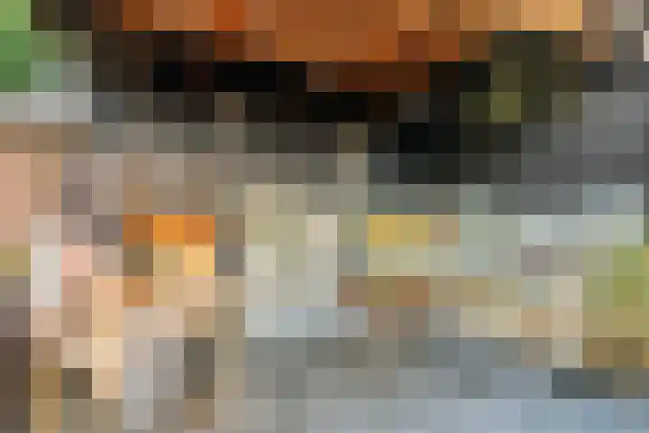Baronielaan 95 Goirle thumbnail 45