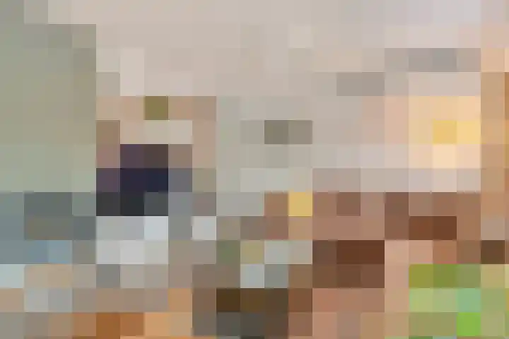 Baronielaan 95 Goirle thumbnail 5