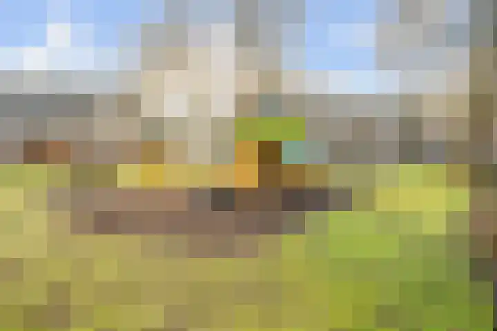 Baronielaan 95 Goirle thumbnail 50