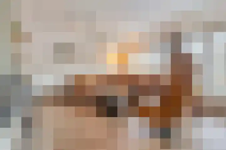 Baronielaan 95 Goirle thumbnail 7