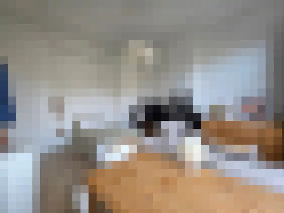 Baronielaan Breda thumbnail 5