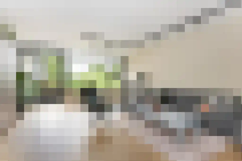 Baronielaan Wassenaar thumbnail 4