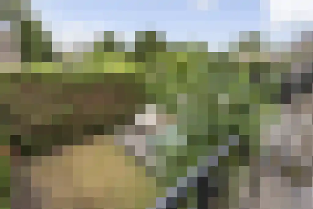 Baronielaan Wassenaar thumbnail 6