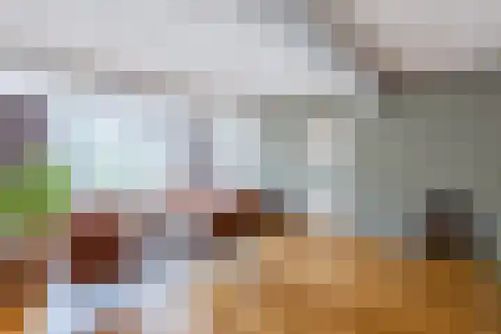 Baroniepad 6 Dongen thumbnail 11
