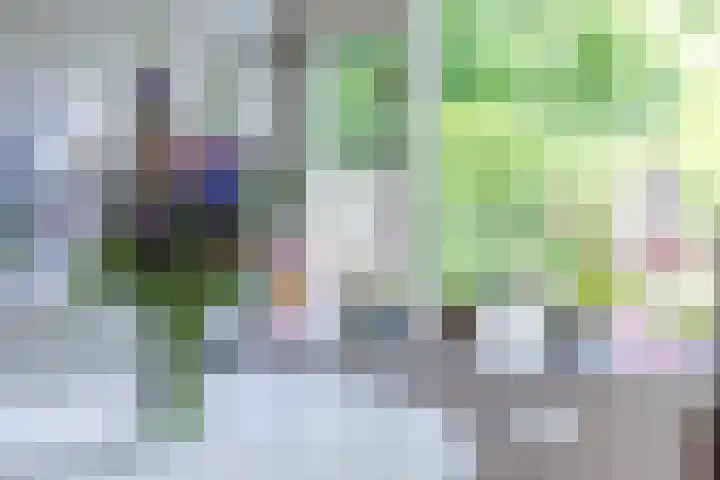 Baroniepad 6 Dongen thumbnail 21
