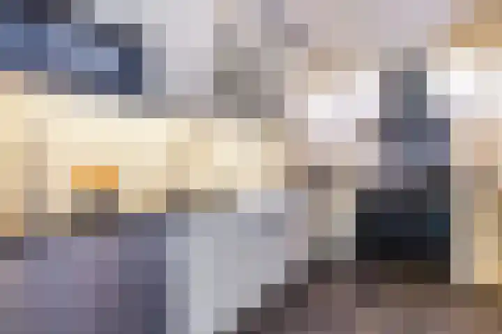 Baroniepad 6 Dongen thumbnail 22