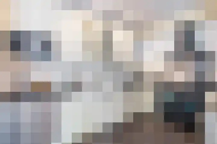 Baroniepad 6 Dongen thumbnail 23