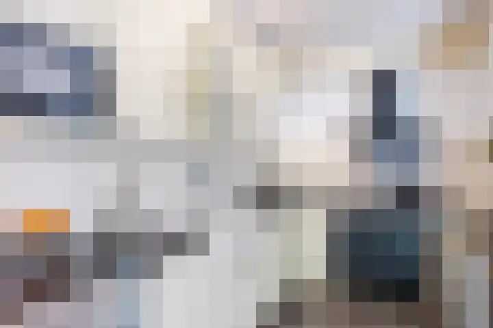 Baroniepad 6 Dongen thumbnail 24
