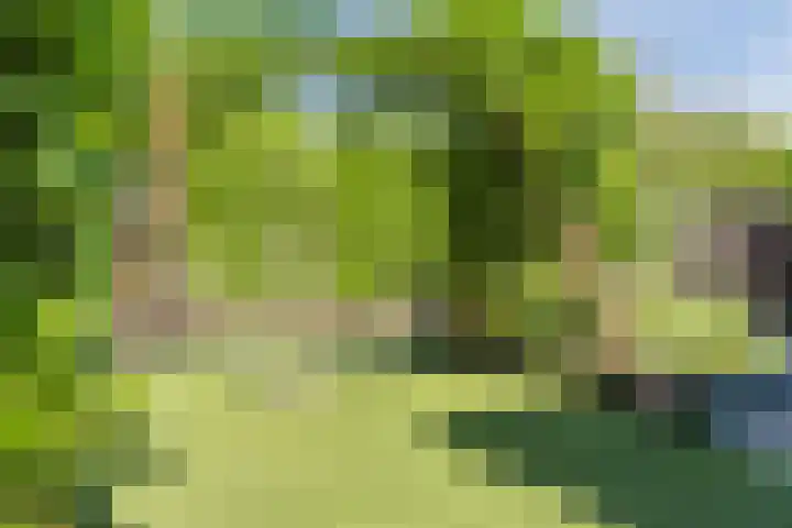 Baroniepad 6 Dongen thumbnail 36