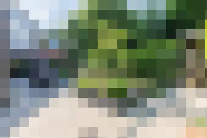 Baroniepad 6 Dongen thumbnail 37