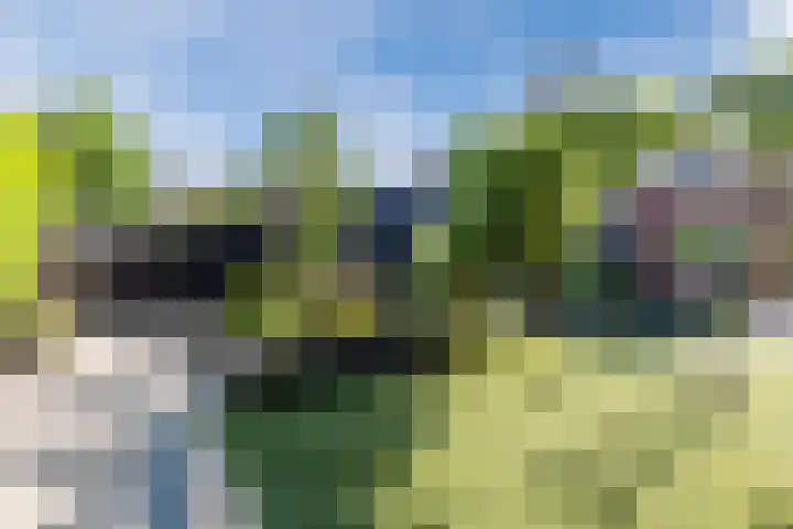 Baroniepad 6 Dongen thumbnail 38
