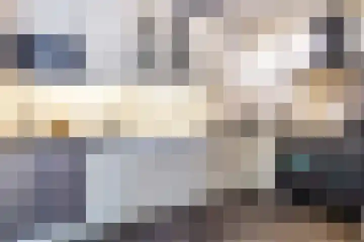 Baroniepad 6 Dongen thumbnail 4
