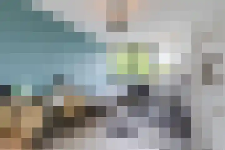 Baroniepad 6 Dongen thumbnail 47
