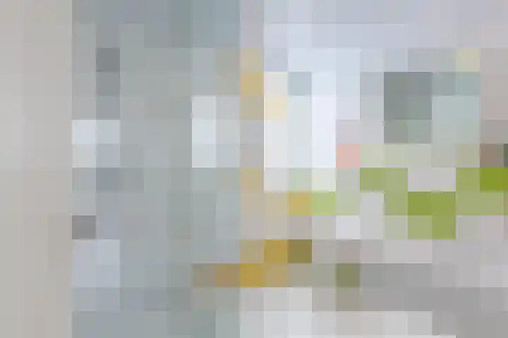 Baroniepad 6 Dongen thumbnail 53