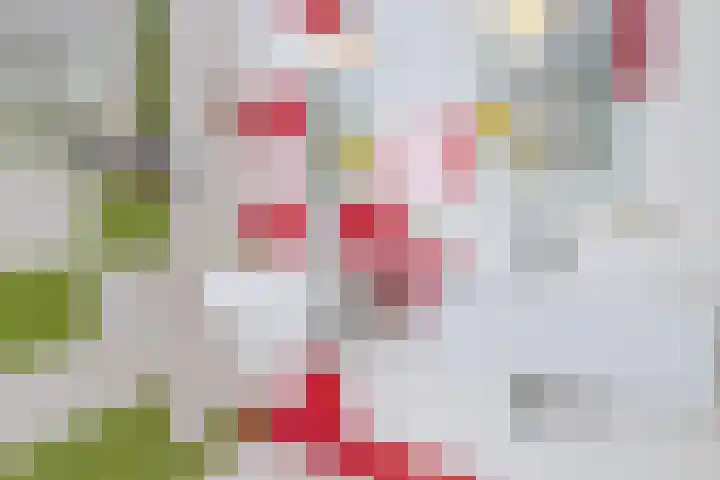 Baroniepad 6 Dongen thumbnail 54