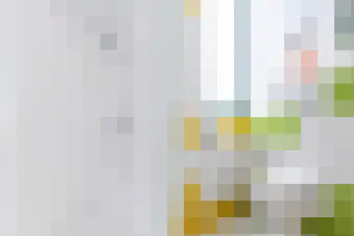 Baroniepad 6 Dongen thumbnail 55