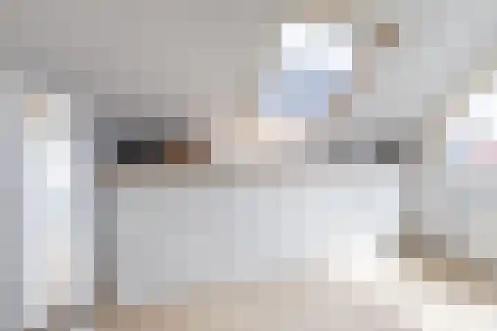 Baroniepad 6 Dongen thumbnail 60