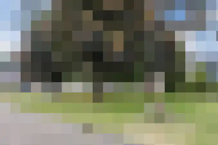 Baroniepad 6 Dongen thumbnail 66