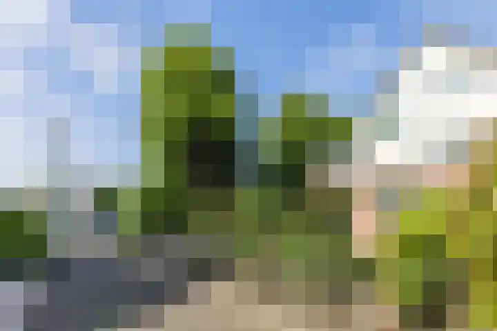 Baroniepad 6 Dongen thumbnail 69