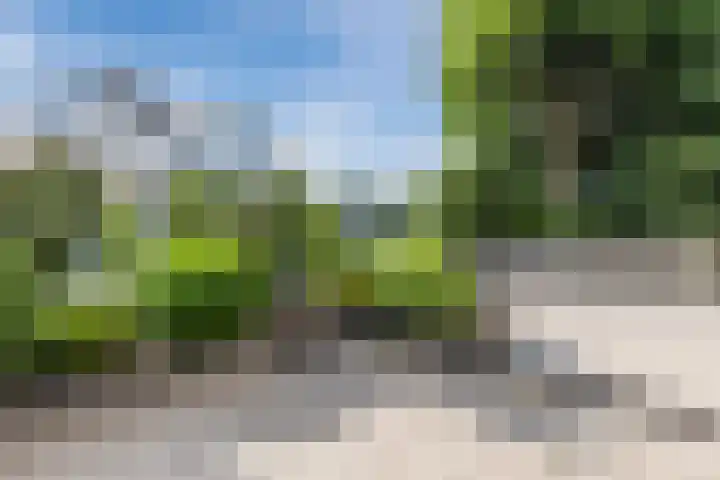 Baroniepad 6 Dongen thumbnail 71