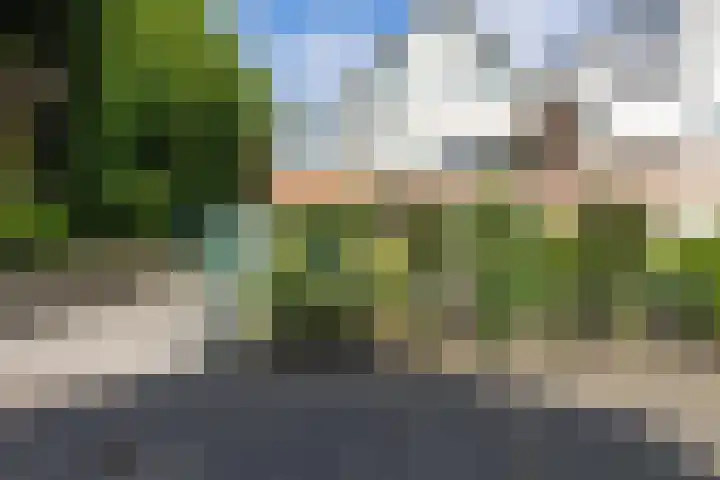 Baroniepad 6 Dongen thumbnail 72