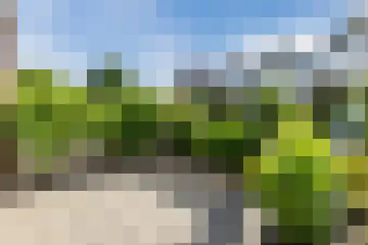 Baroniepad 6 Dongen thumbnail 76
