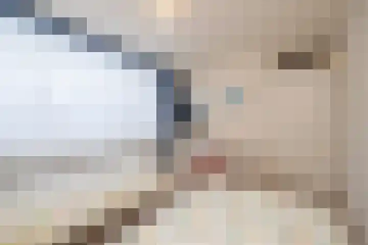 Baroniesingel 15 Vught thumbnail 20