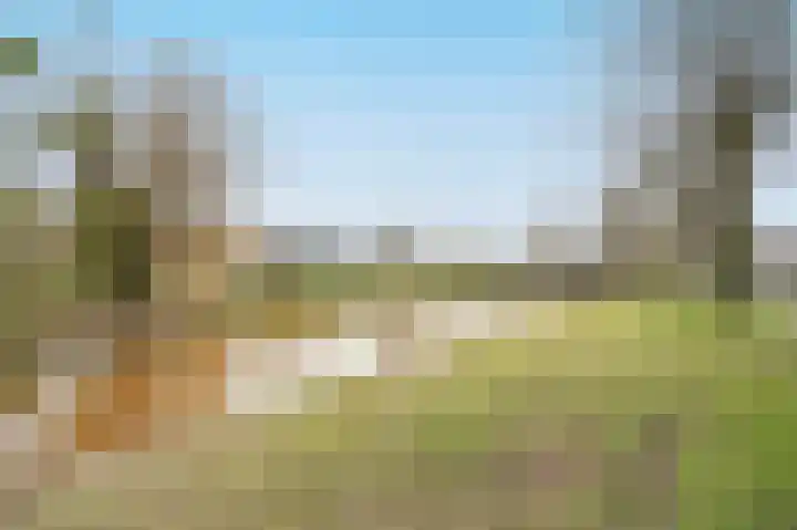 Baroniesingel 15 Vught thumbnail 34
