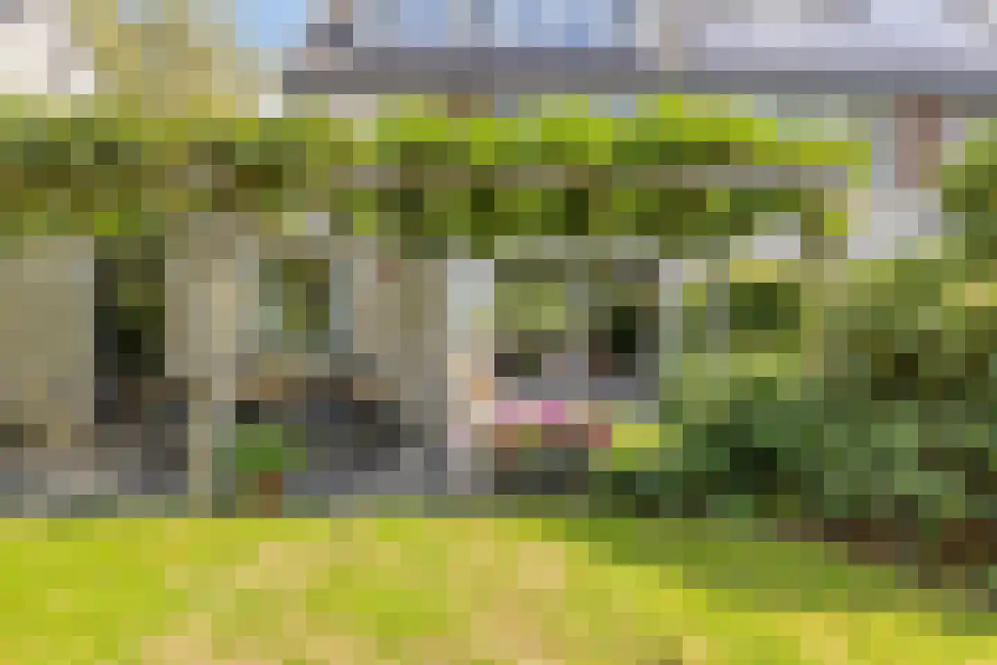 Baroniesingel 21 Vught thumbnail 29