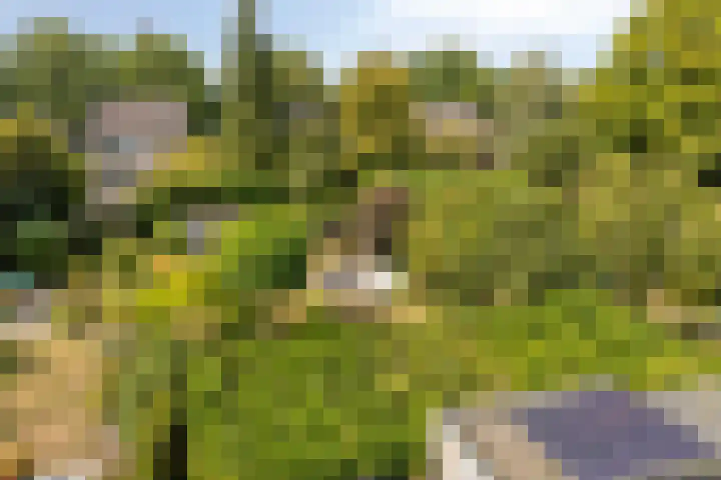 Baroniesingel 21 Vught thumbnail 35