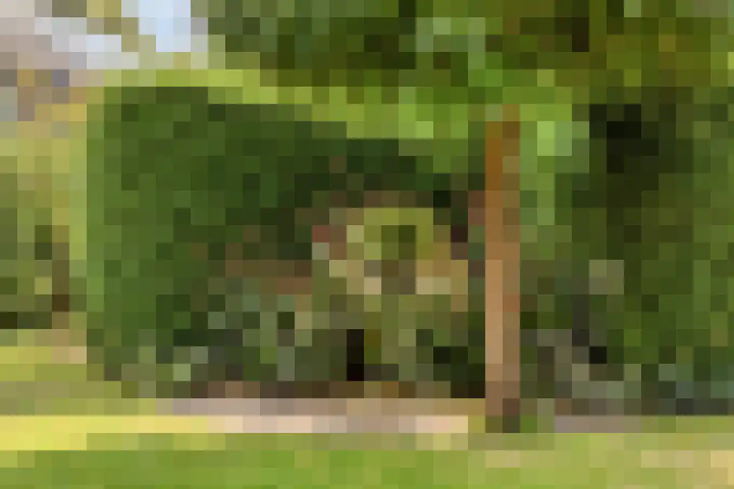 Baroniesingel 21 Vught thumbnail 38
